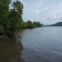 Photo de Bali - Pulakai et Gilimanuk - trekking